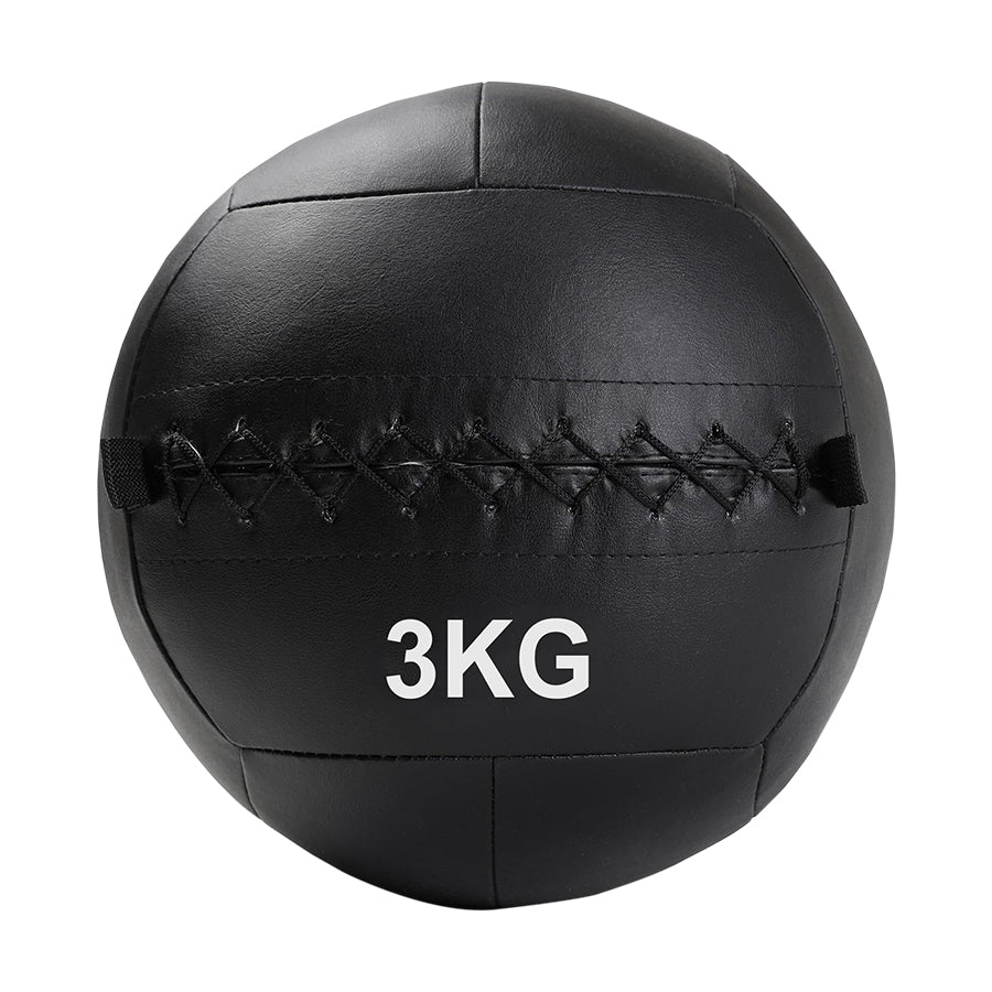 Heavy Duty Wall Ball