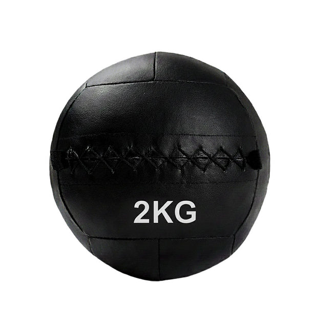 Black weighted wall ball