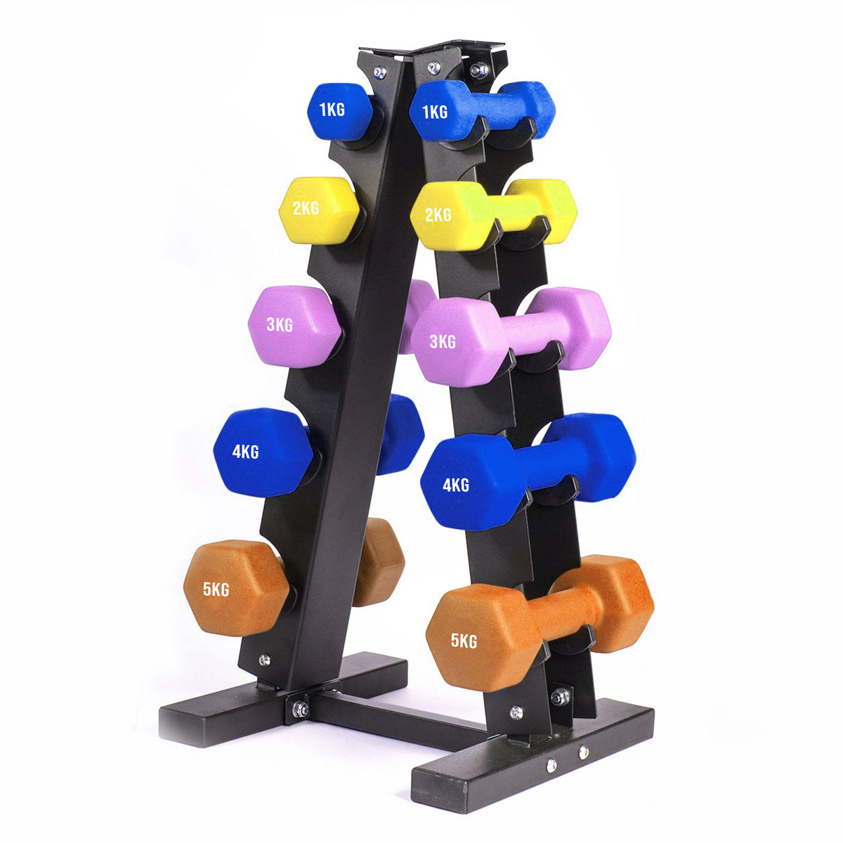 Neoprene dumbbells on a compact storage rack