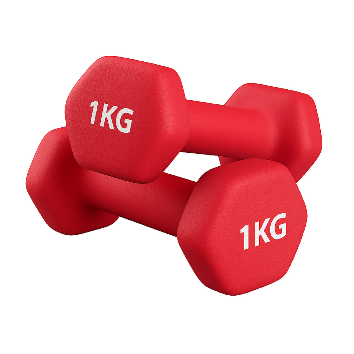 Pair of coloured neoprene dumbbells