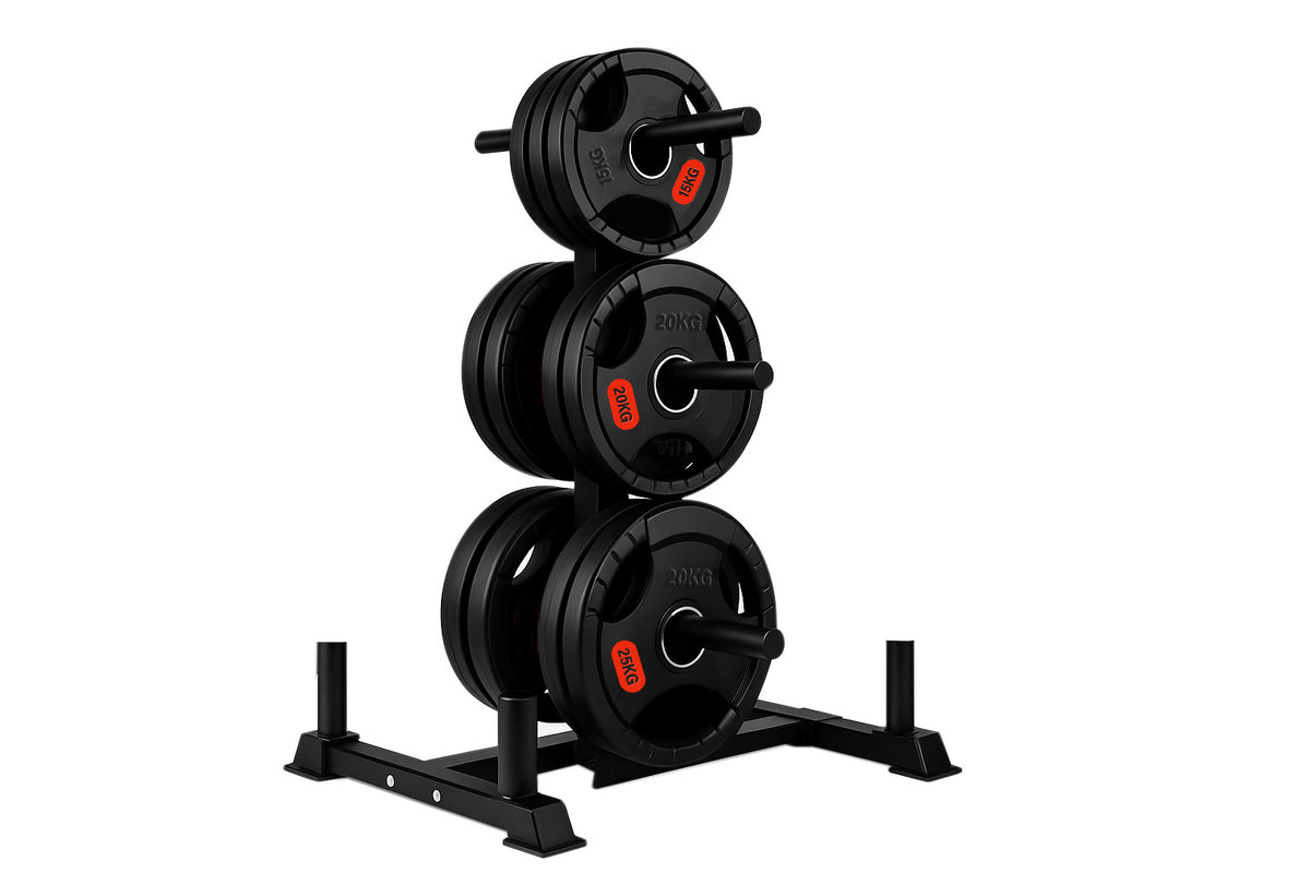 Weight plates on an Olympic weight tree