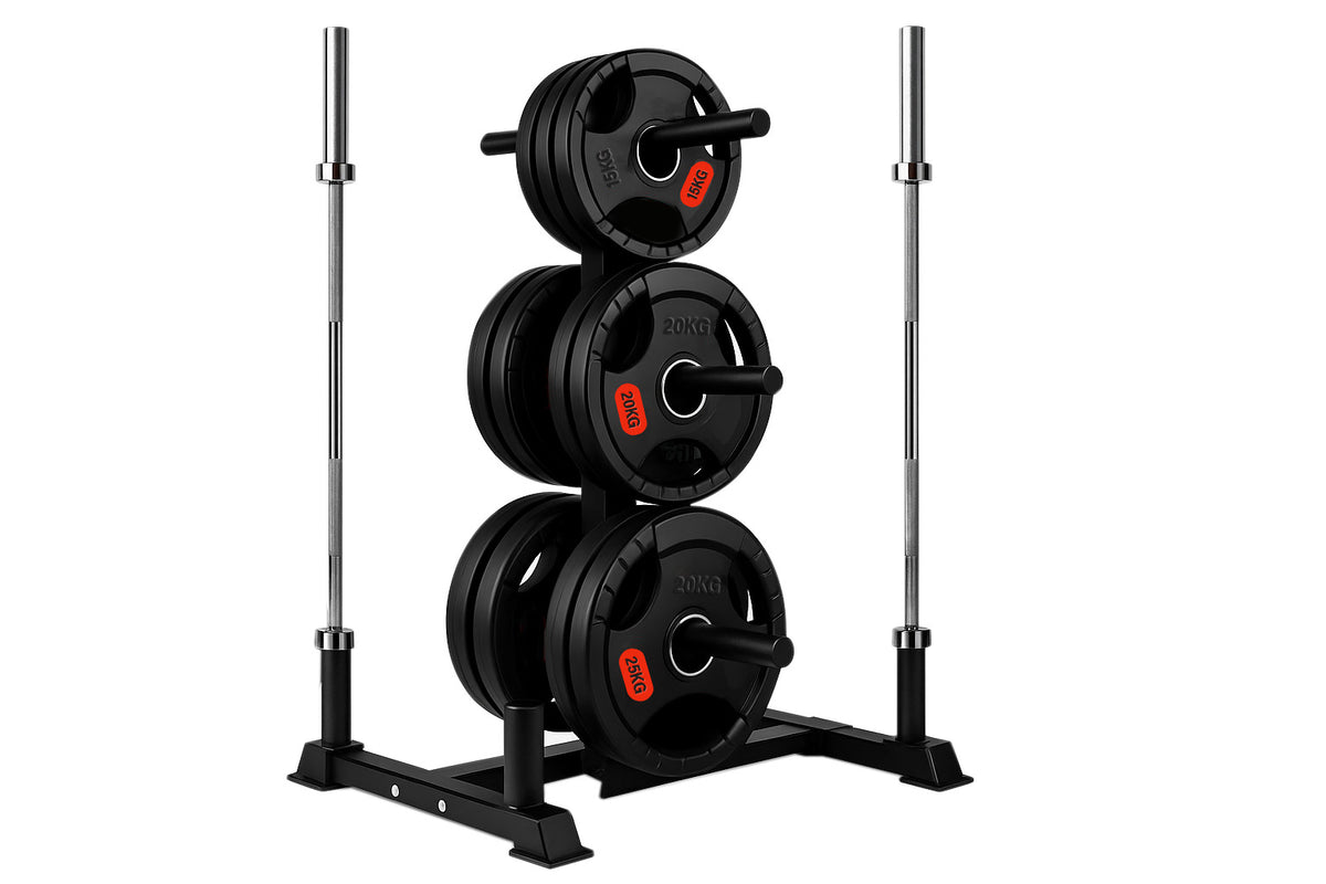 Weight plates on an Olympic weight tree